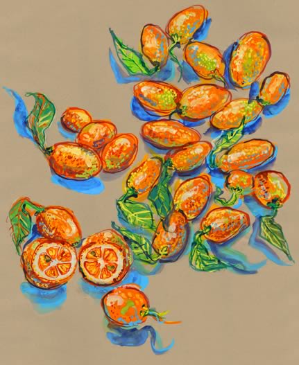 photo LMMH0384_Kumquat_Pleutin_18_01_2019