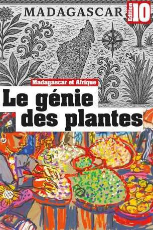 photo 10_Genie_des_plantes_Madagascar_01